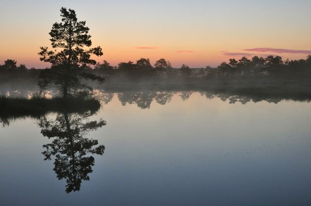 Enne päikesetõusu Kuresoo rabas Soomaal