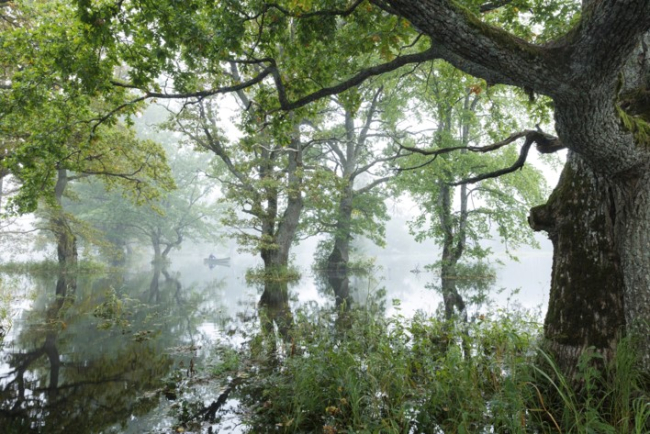 "Kodumaine Amazonas", eelmise aasta võidutöö, autor Jarek Jõepera