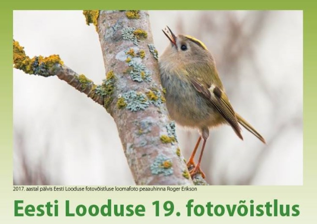 fotovõistlus 
