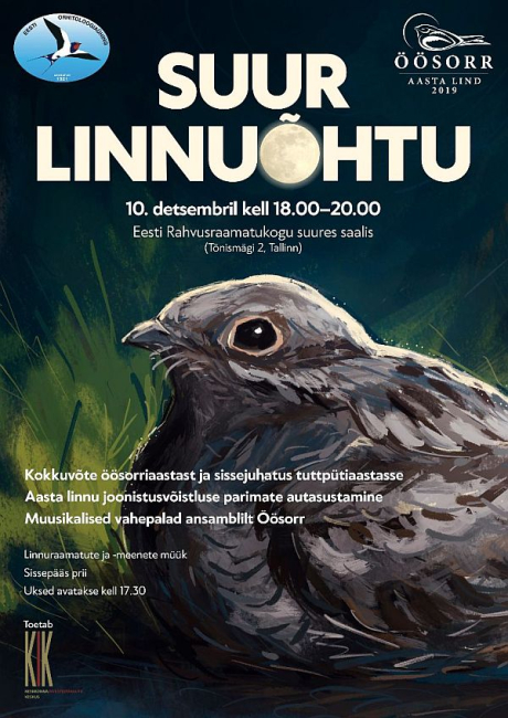 Suur Linnuõhtu 