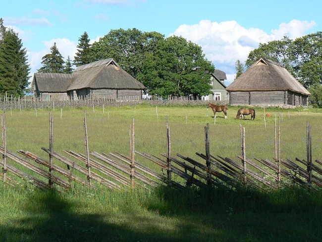 Põhja-Tammsaare talu