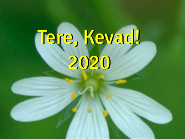 Здравствуй, Весна! 2020