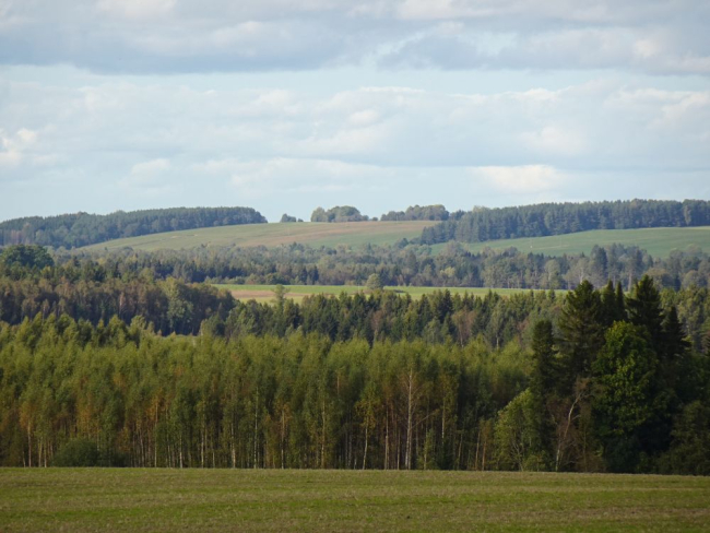 Puude lehestik on metsades veel valdavalt roheline