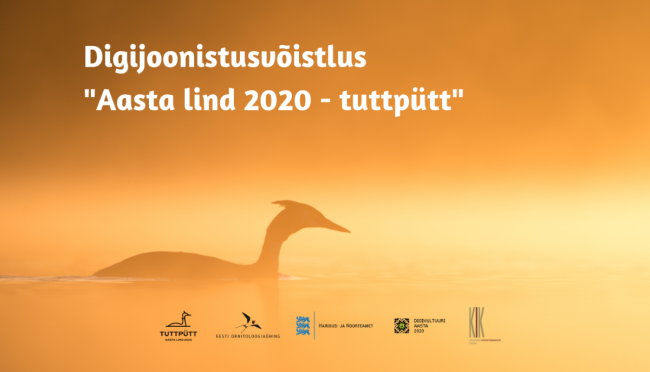 Digijoonistuste võistlus