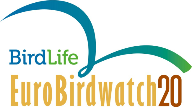 Linnuvaatluspäevad EuroBirdwatch toimusid 3.– 4. oktoobril üle Eesti.