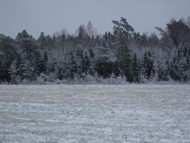 Esimene lumikate esmaspäeval, algas eeltalv