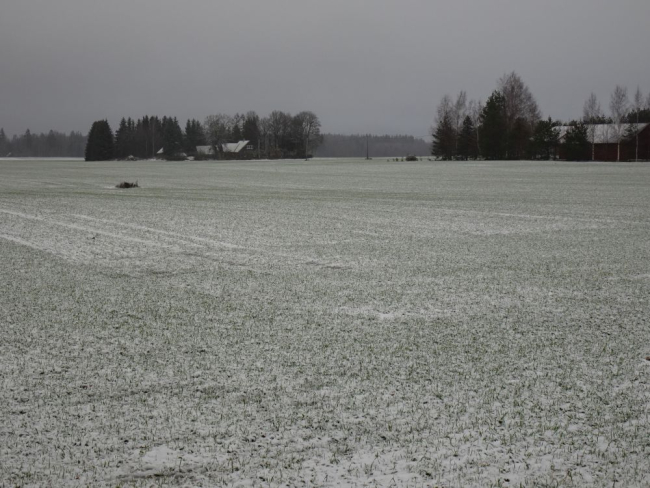 Ajutiselt valge põllumaastik