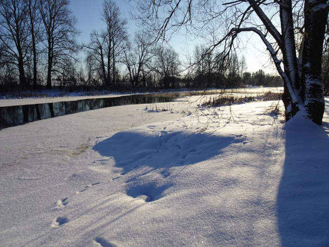 Jäätuv Pedja jõgi