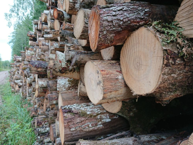 Pildistas Indrek Tammekänd Hiiumaa VEP