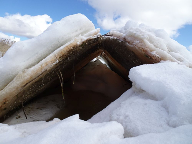 Kurrutatud Peipsi järve jää
