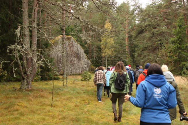 Tammispea rändrahn Lahemaal