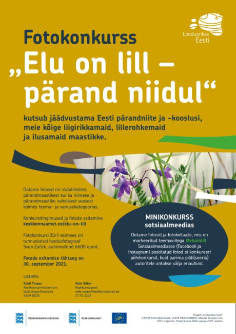 Fotokonkurss „Elu on lill – pärand niidul“ kutsub märkama Eesti looduse liigirikkust