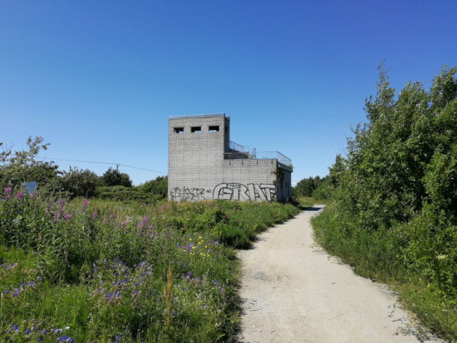 Paljassaare linnuvaatlustorn