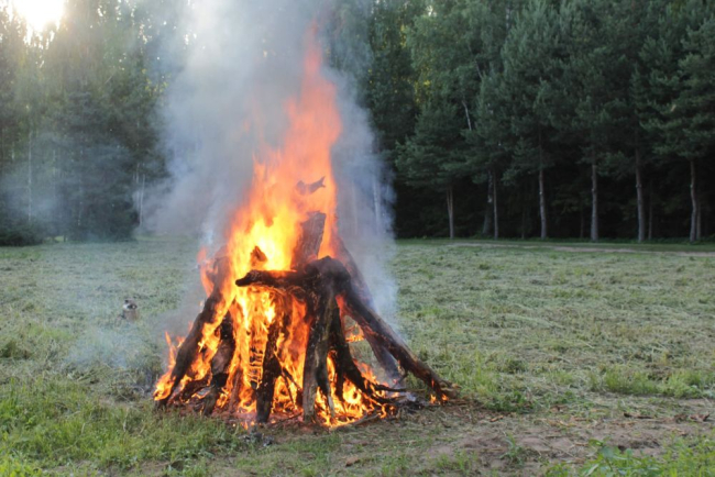 Jaanilõke