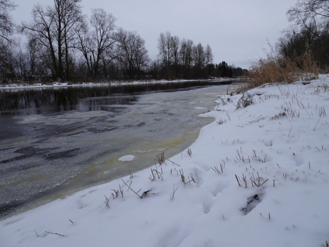Kallasjää Pedja jõel neljapäeval