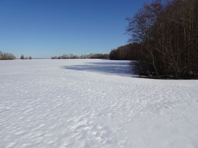Põllud on lumega kaetud