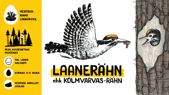 Pesitsusrahu kampaania 2022