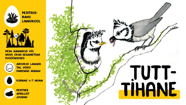 Tutt-tihane