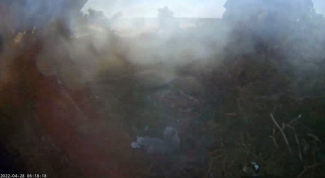 Pildikvaliteedist hoolimata näeme, et hommikuks oli teine kotkapoeg koorunud