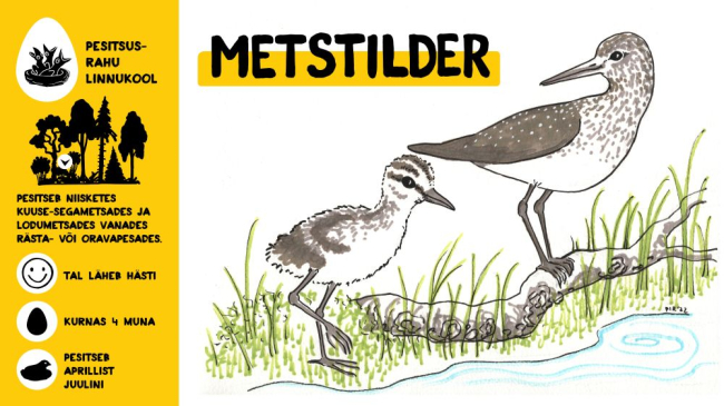 Metstilder