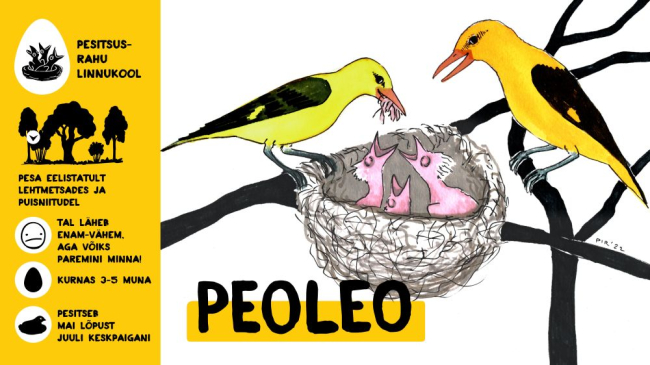 Peoleo