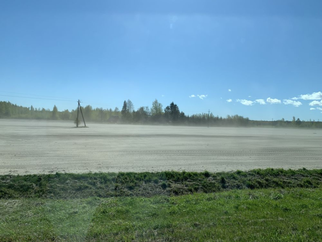 Tuuleerosioon on kuivaga lausaline