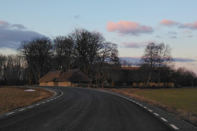 Kõera tee