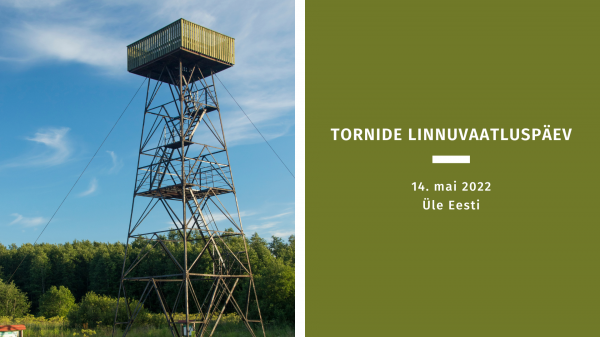 Laupäeval toimub tornide linnuvaatluspäev