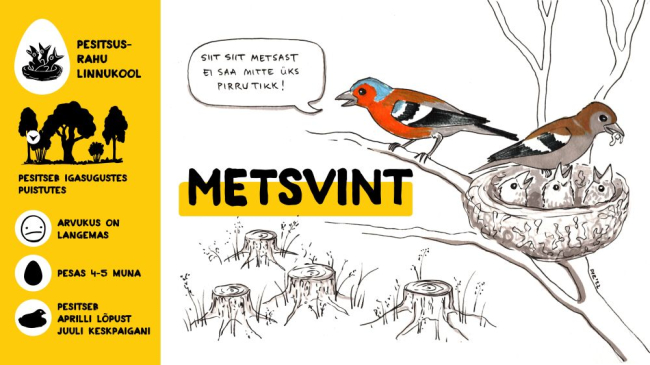 Metsvint