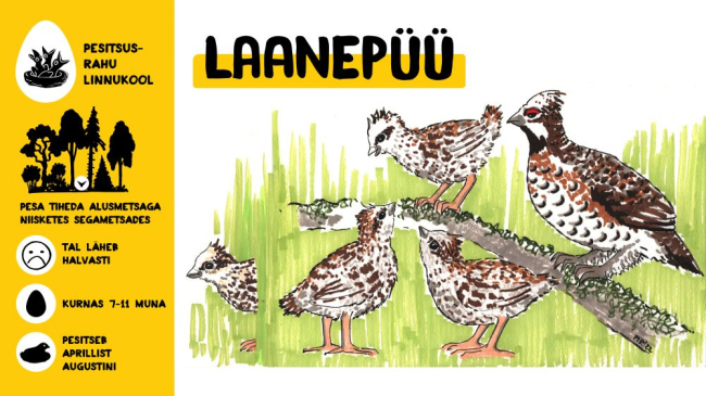 Laanepüü