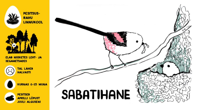 Sabatihane