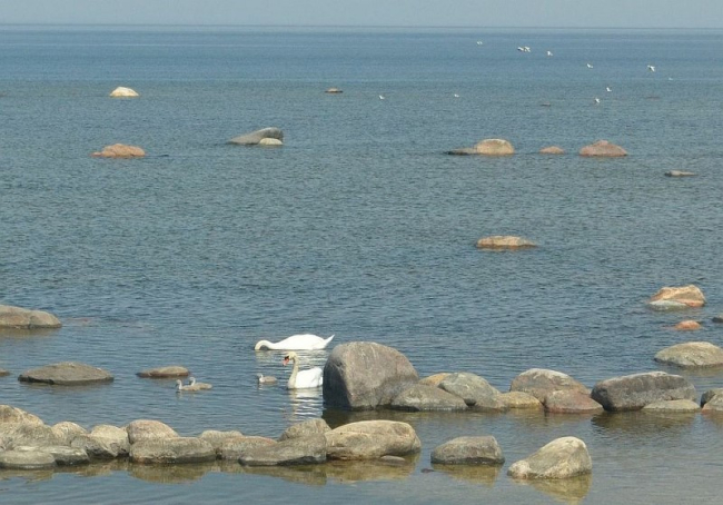 Luigepere kaldamadalas