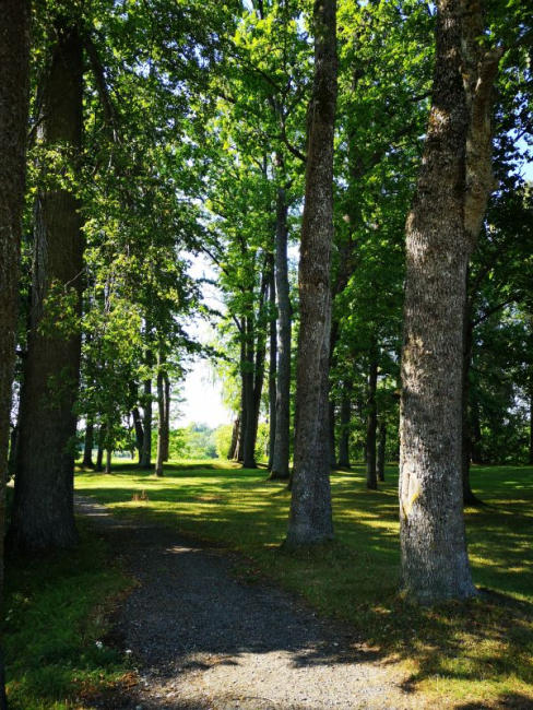 Sindi park. 