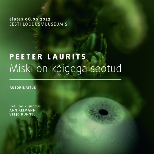 Peeter Lauritsa autorinäitus Eesti Loodusmuuseumis avati 8. septembril.  Seekord on Eesti Loodusmuuseumi saalis üleval midagi, mis ületab kammitsevaid distsipliinide piire ja aitab taas siduda tervikuks selle, mis kunagi tegelikult lahus pole olnudki. Peeter Lauritsa näitus „Miski on kõigega seotud“.