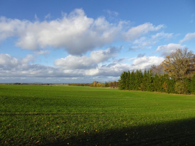 Vaade Laiuse voorelt