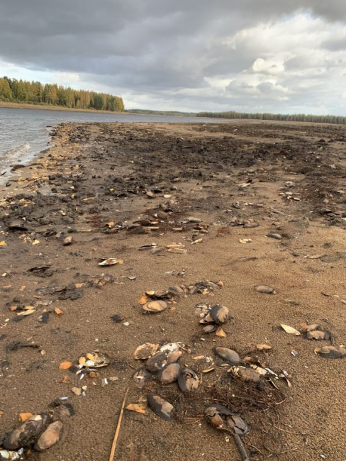 Kuivaks jäänud Soodla veehoidla
