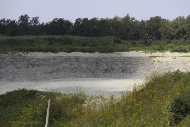 Kunda mereäärse savikarjääri seina ülevaade 2014. aastal. Pildistas T. Meidla