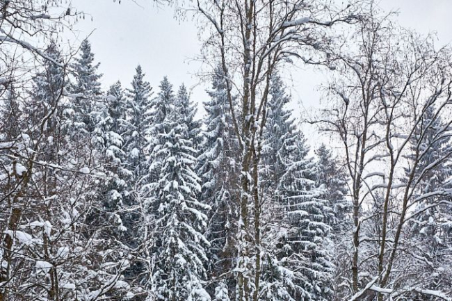 Täiskuuöö. Suur Taevaskoda. Ajaloolise Tartu ja Võru maakonna ning Võnnu ja Põlva kihelkonna piiril Taevaskoja külas