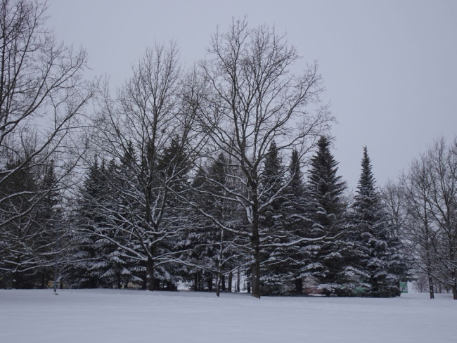 Lumine Piiri park