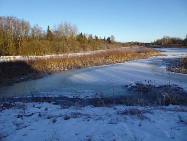 Painküla paisjärv