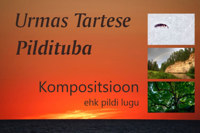 kompositsioon 