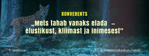 Metsakonverents
