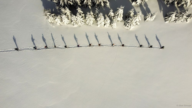Suusatajad lumeilvese matkal Haanja maastikul 2023. aastal