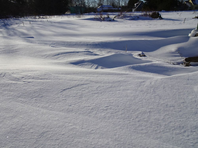 Tuisuvaalud