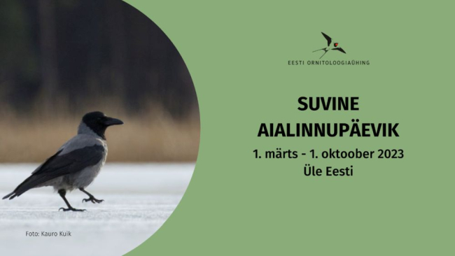 aialinnupäevik