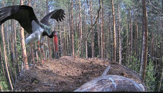 Kellaaega näete pildil, kui Karl pesale saabus