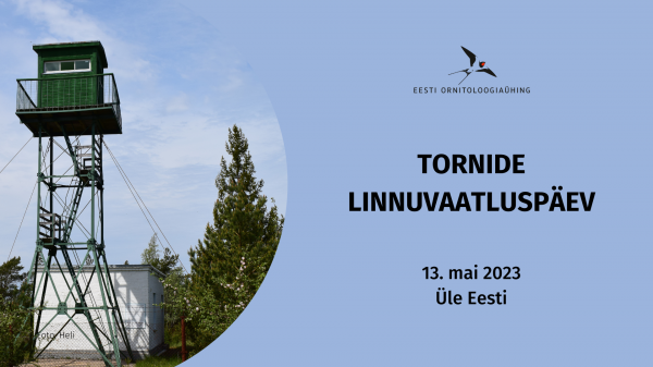 Laupäeval, 13. mail tasub sammud seada mõnda torni ning vaadelda saabuvaid rändlinde. Eesti Ornitoloogiaühing selgitab vaatlustulemuste põhjal välja ka kõige linnuliigi rohkema torni.