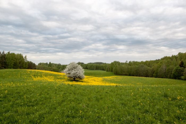 Kevadine Karula maastik