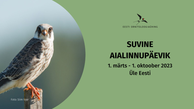 aialinnupäevik