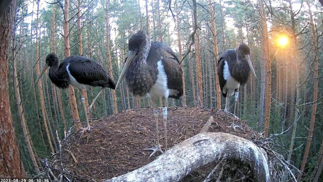 Kõik ootavad…